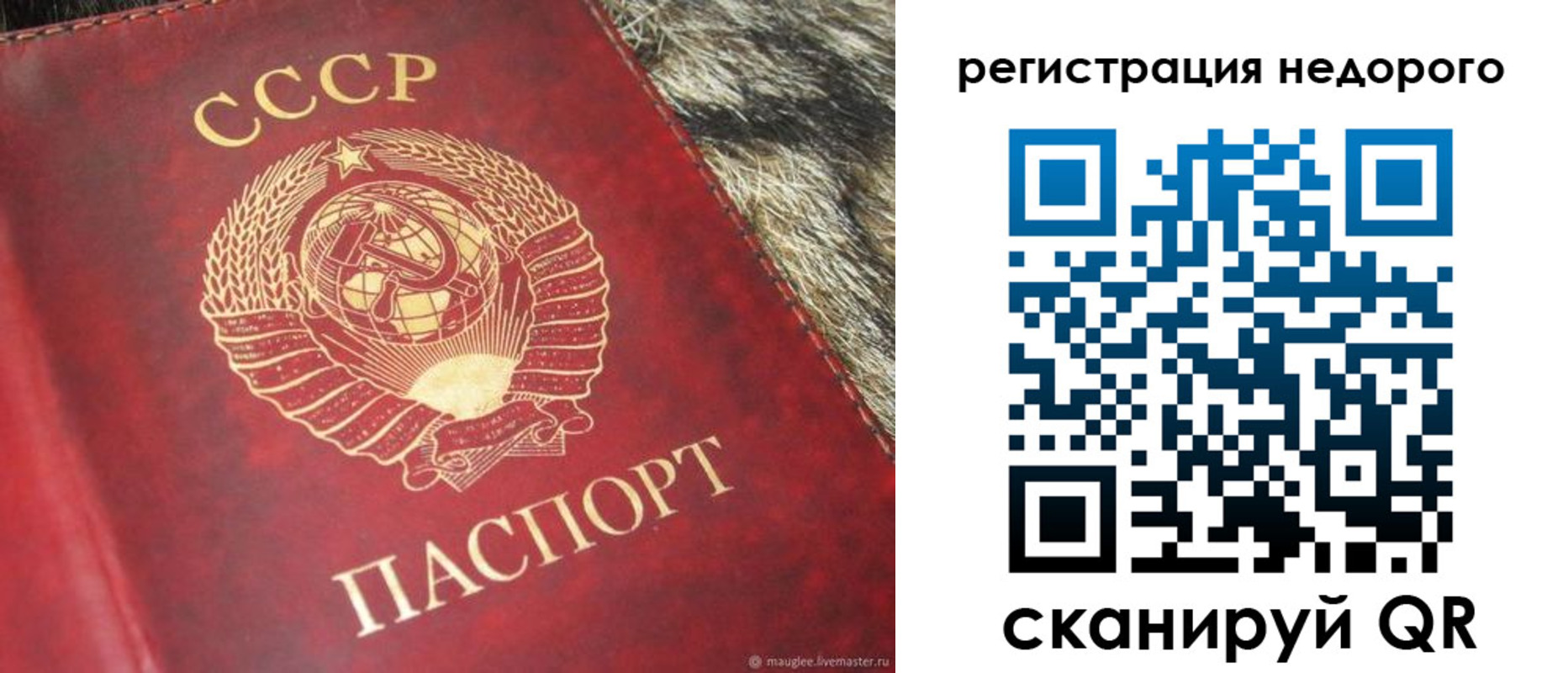 прописка ребенка в Городце